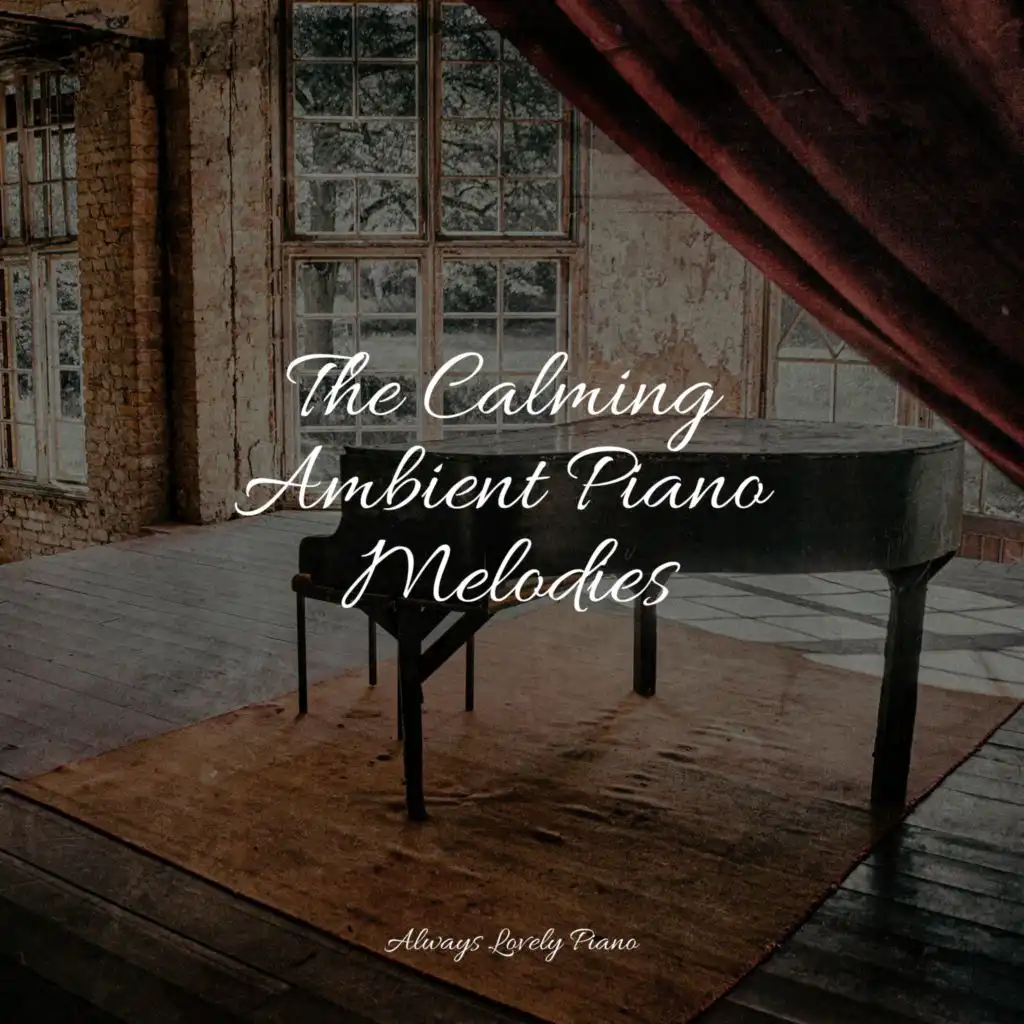 The Calming Ambient Piano Melodies