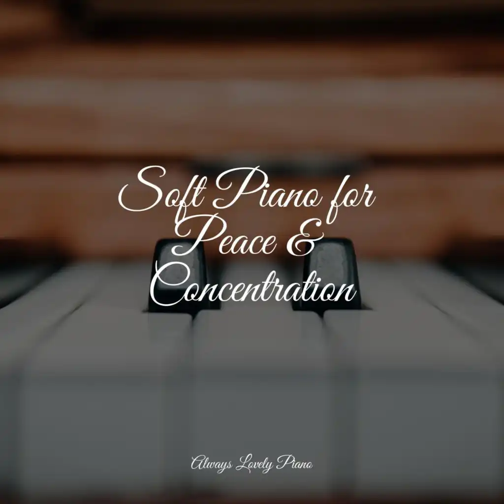 Soft Piano for Peace & Concentration