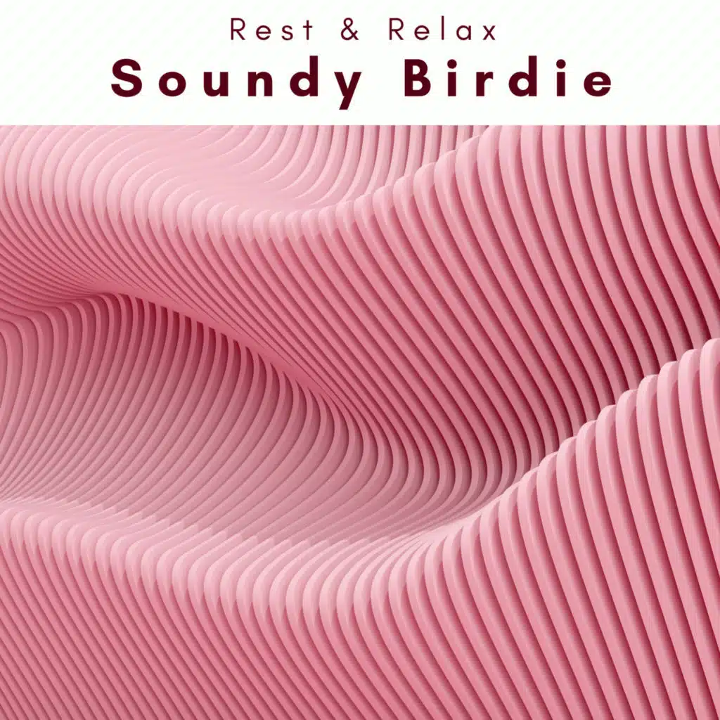 A Soundy Birdie