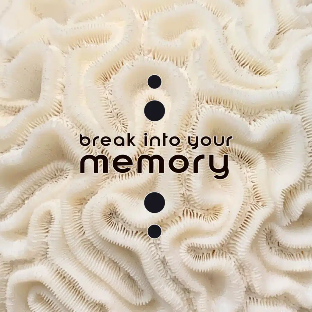 Exam Study Background Music Consort