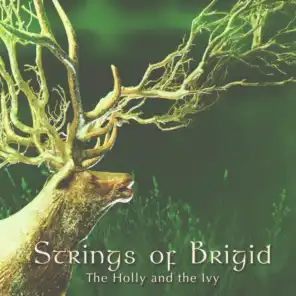 Strings of Brigid