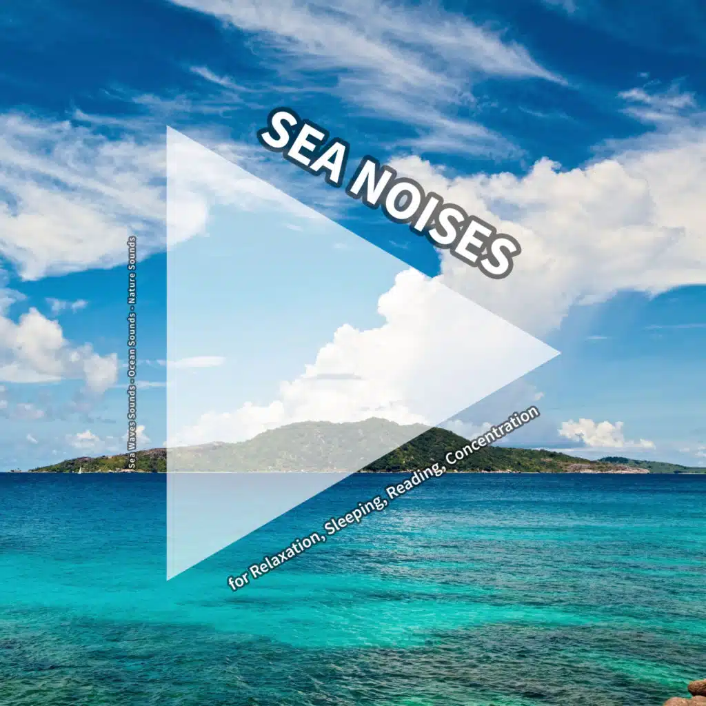 Sea Noises Sound Effect to Make You Sleep Instantly