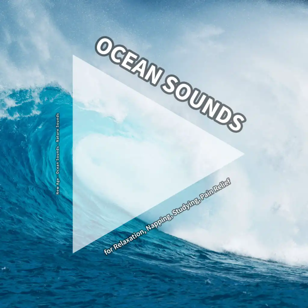 Miraculous Ocean Noises