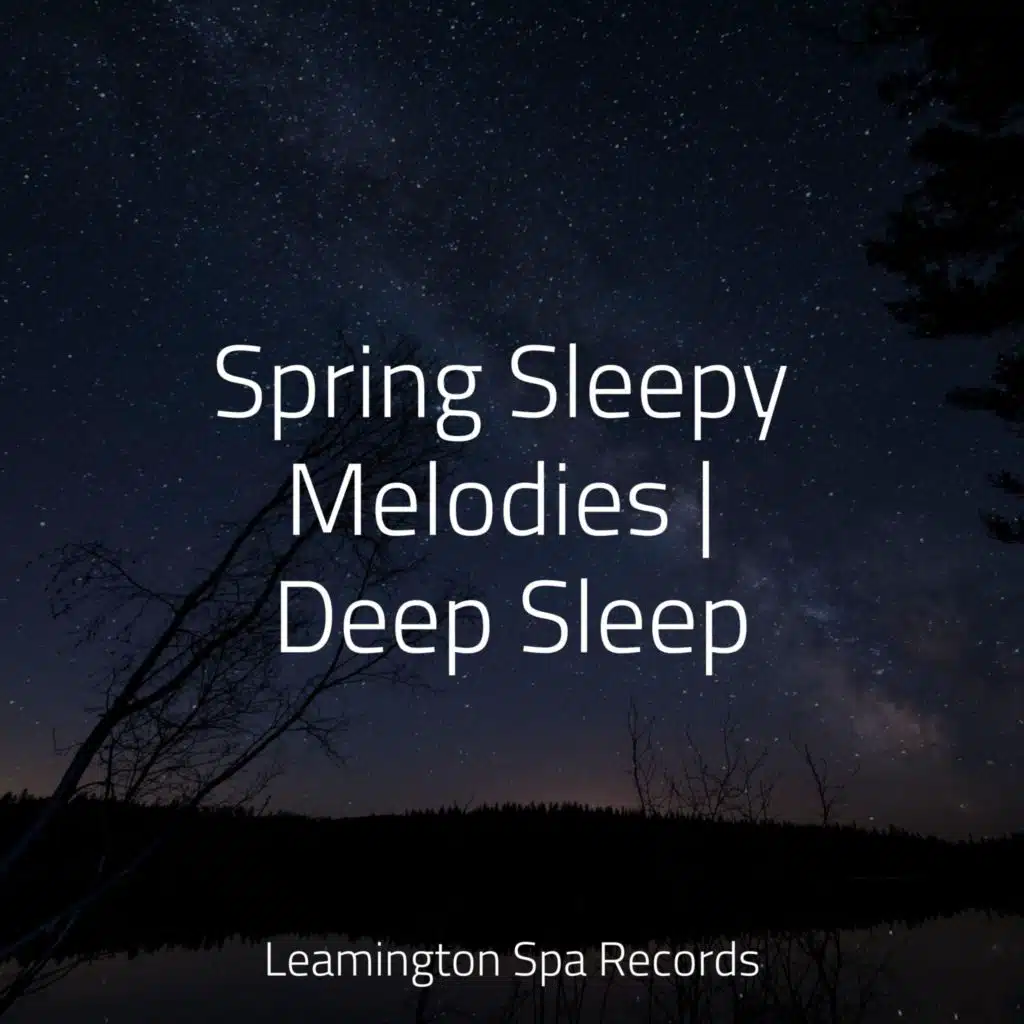 Spring Sleepy Melodies | Deep Sleep