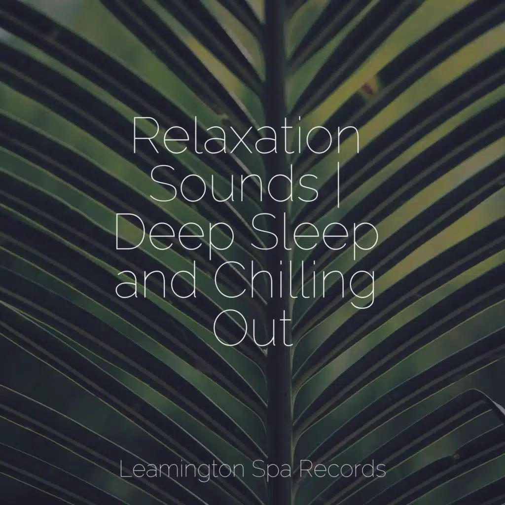 Peaceful Waves
