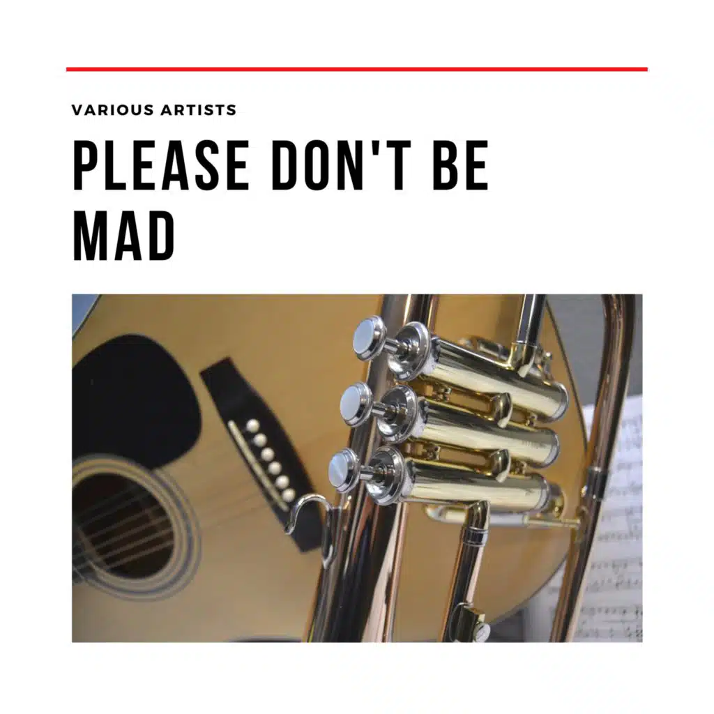 Please Don't Be Mad