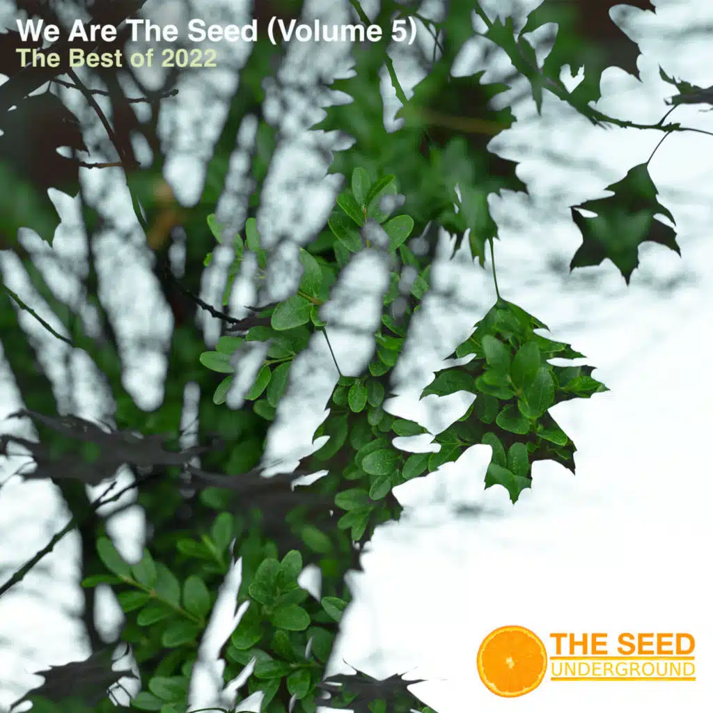 The Best of the Seed 2022