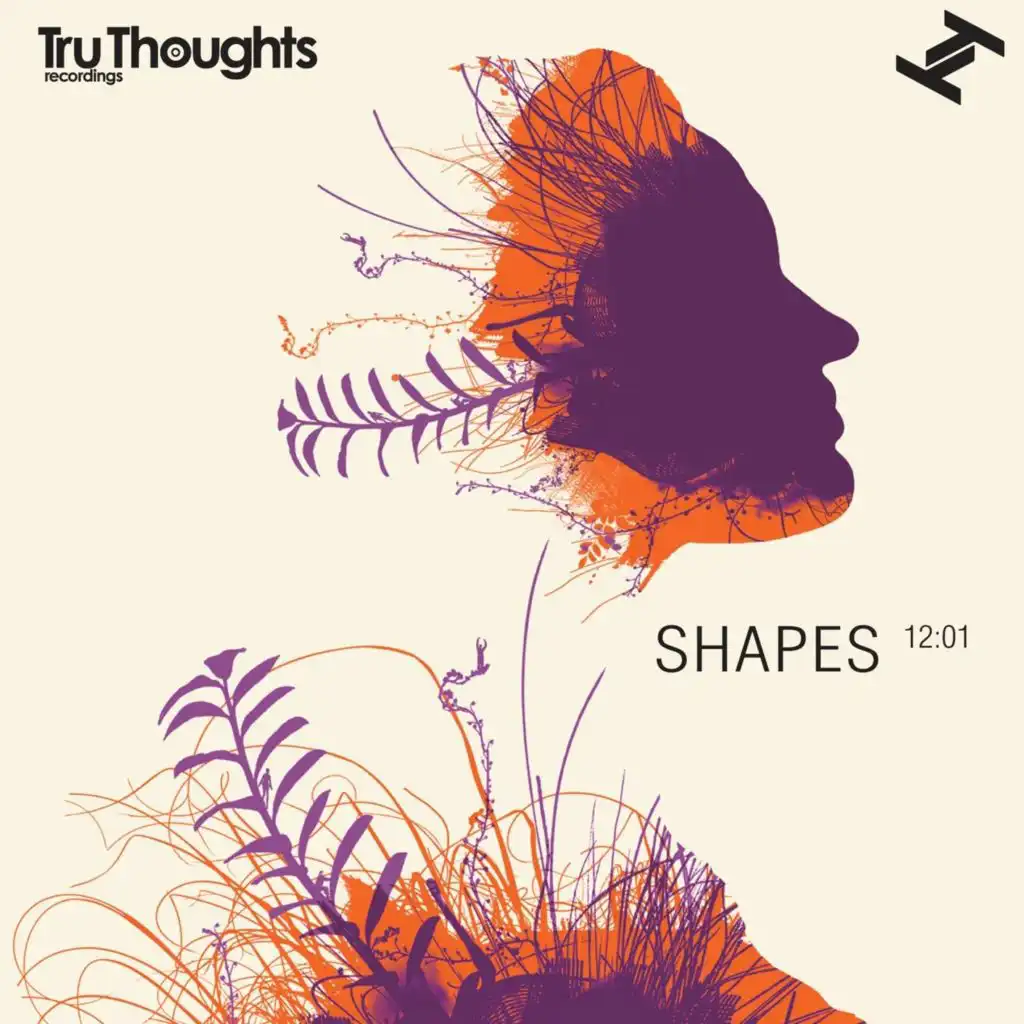 Shapes 12:01 (Compiled By Robert Luis)