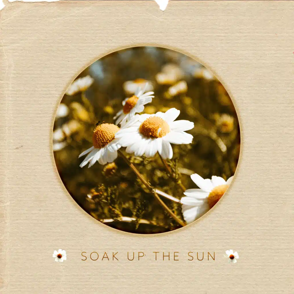 Soak up the Sun