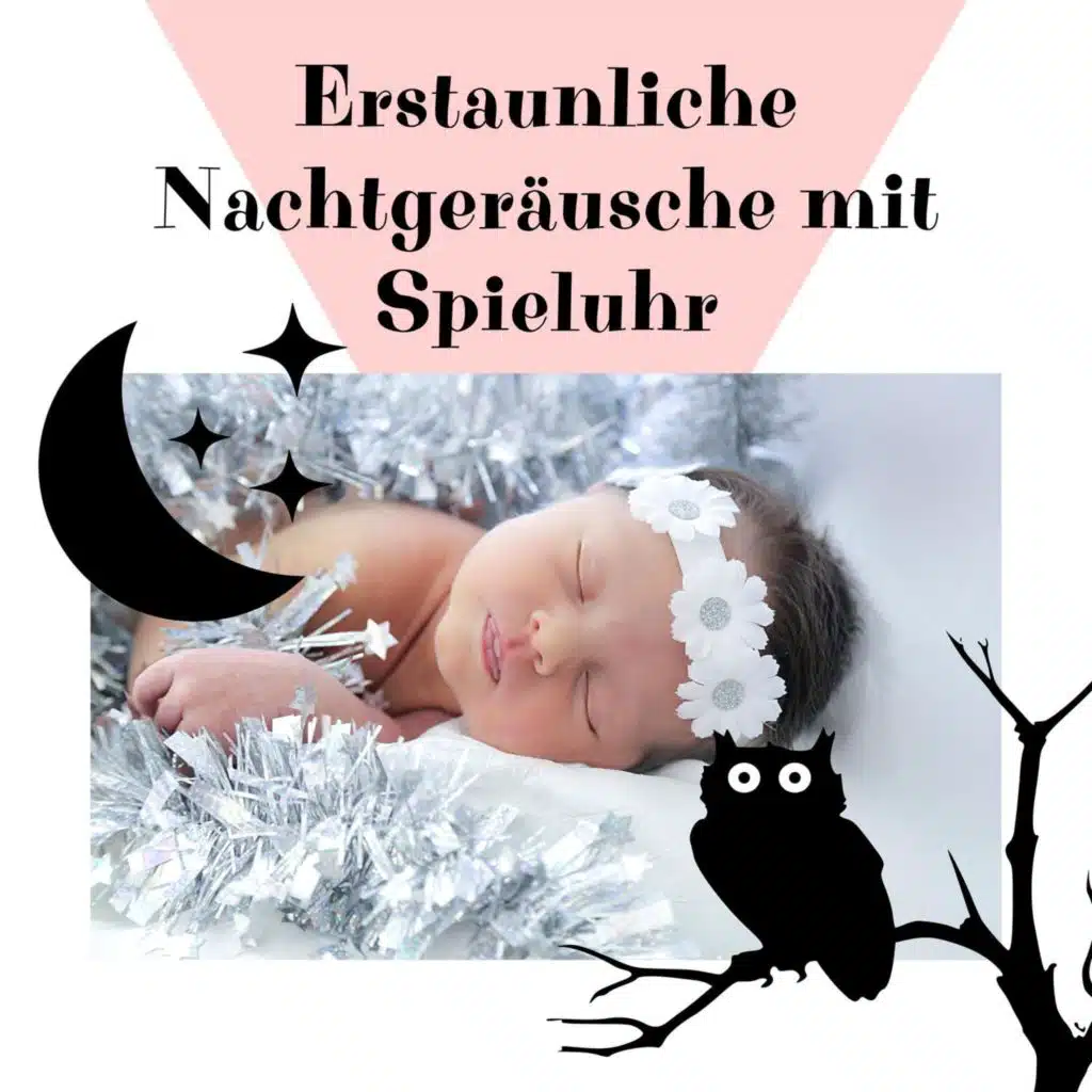 Erstaunliche Nachtgeräusche mit Spieluhr