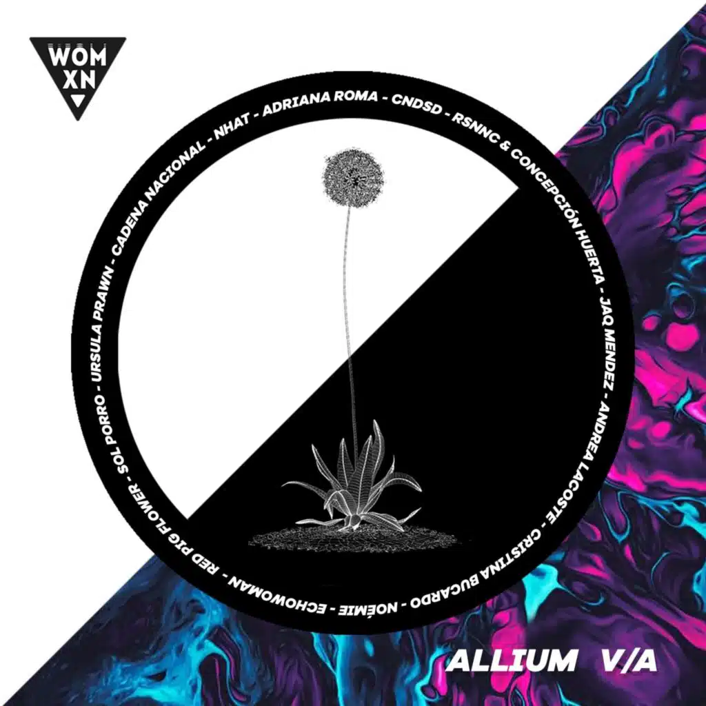 Allium V/A