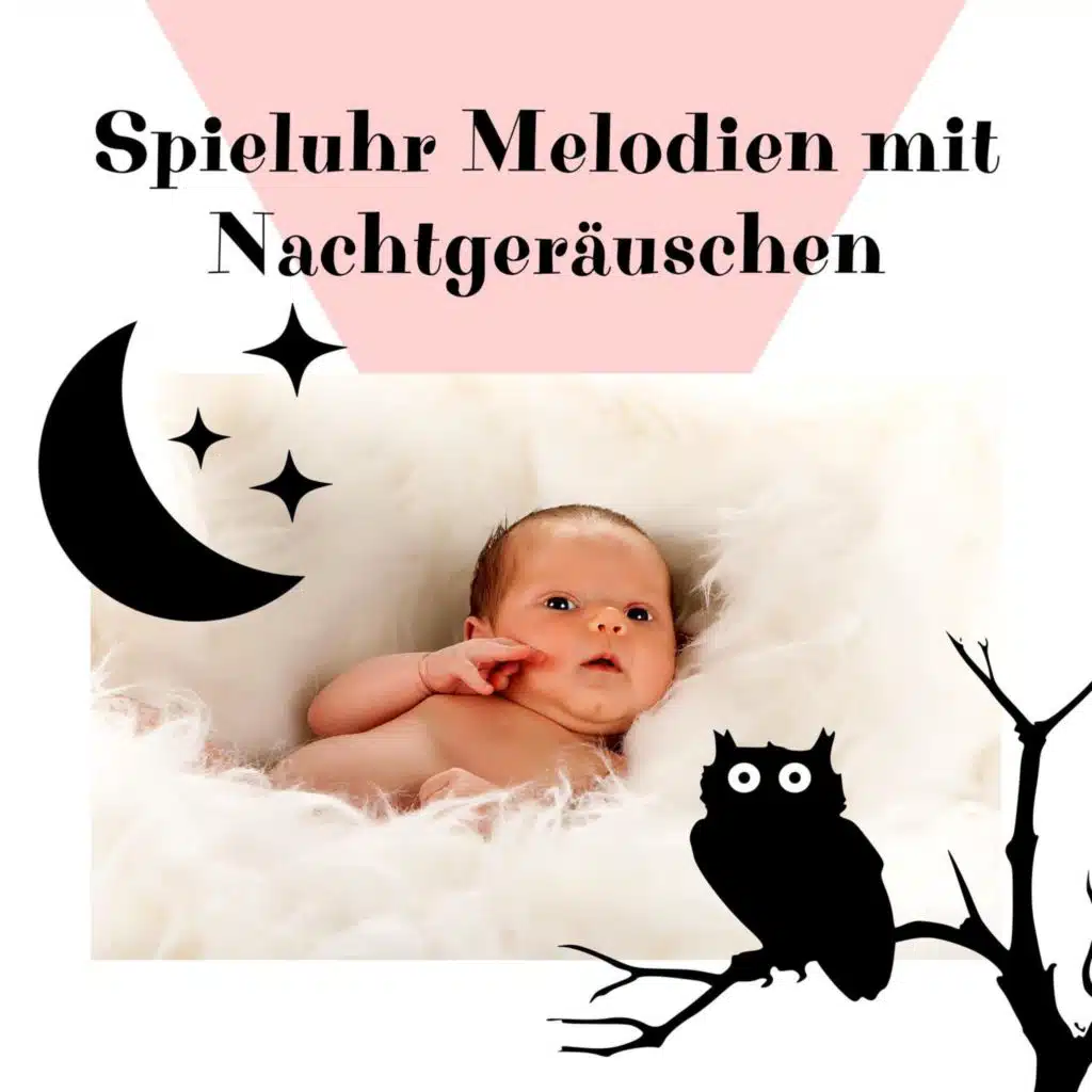 Spieluhr Melodien mit Nachtgeräuschen