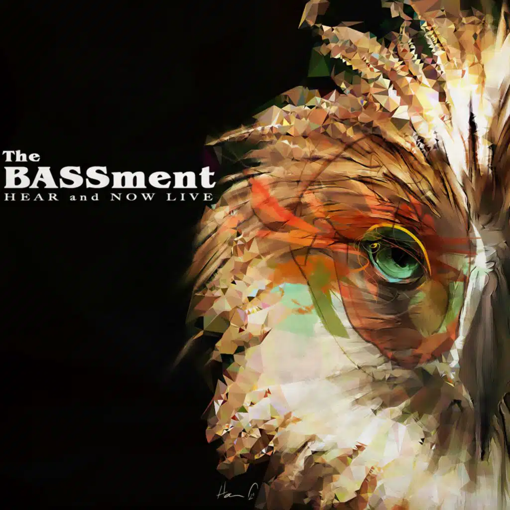 The Bassment