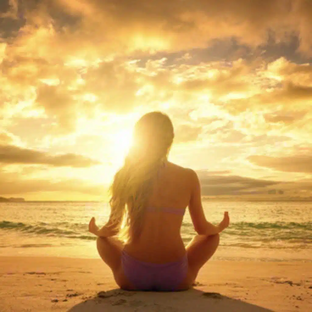 Carole Hannoun Picks