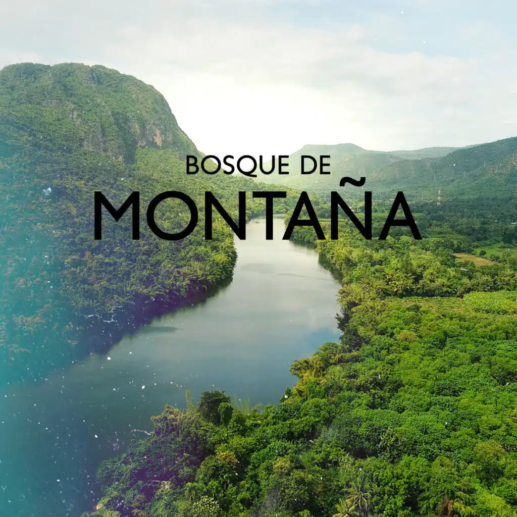 Bosque de Montaña: Sonidos Tranquilos de un Río de Montaña y Bosque de Primavera