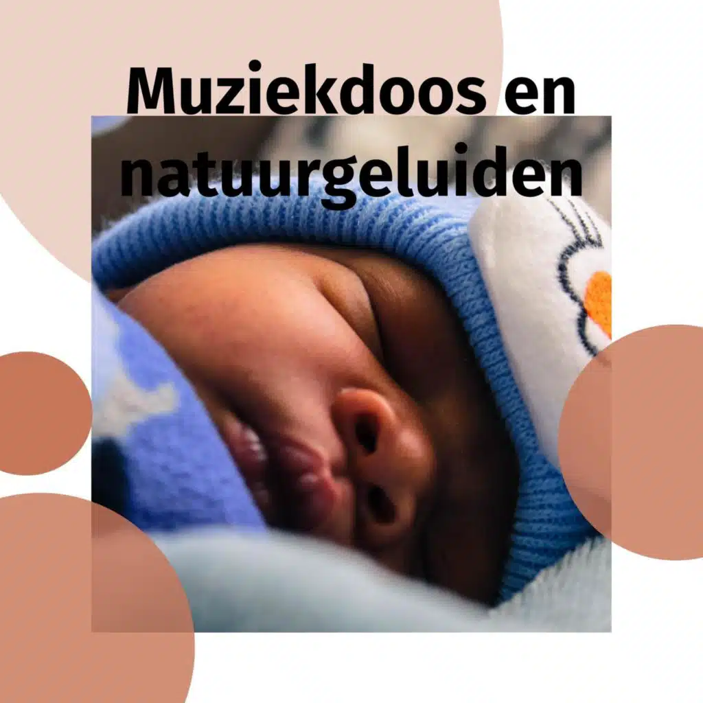 Muziekdoos en natuurgeluiden