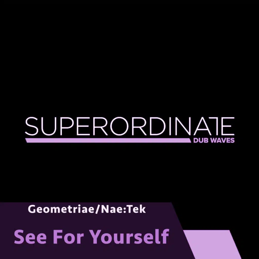 nae:tek & Geometriae