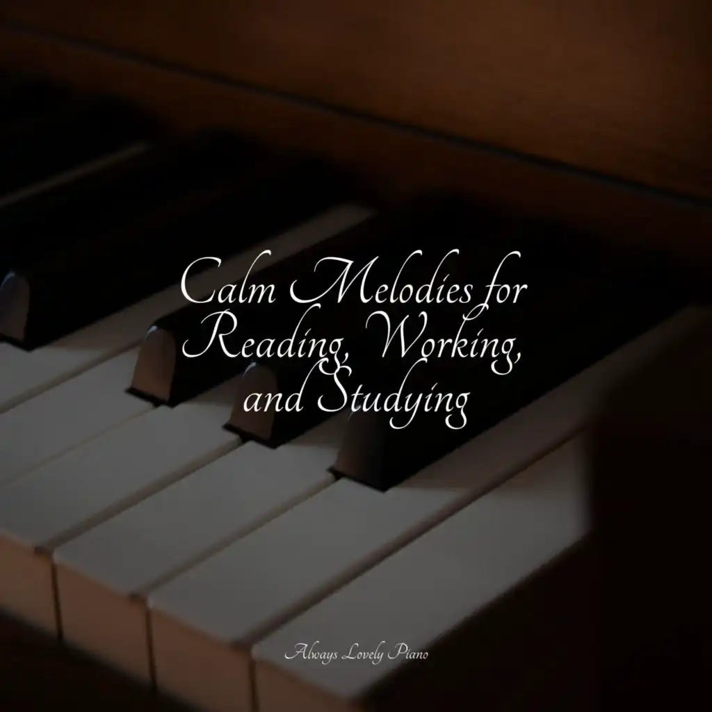 Calm Melodies for Reading, Working, and Studying