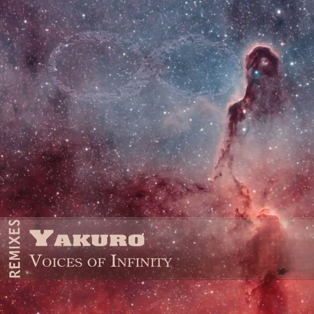 Voices of Infinity (feat. Vasim) [Vasim Remix]