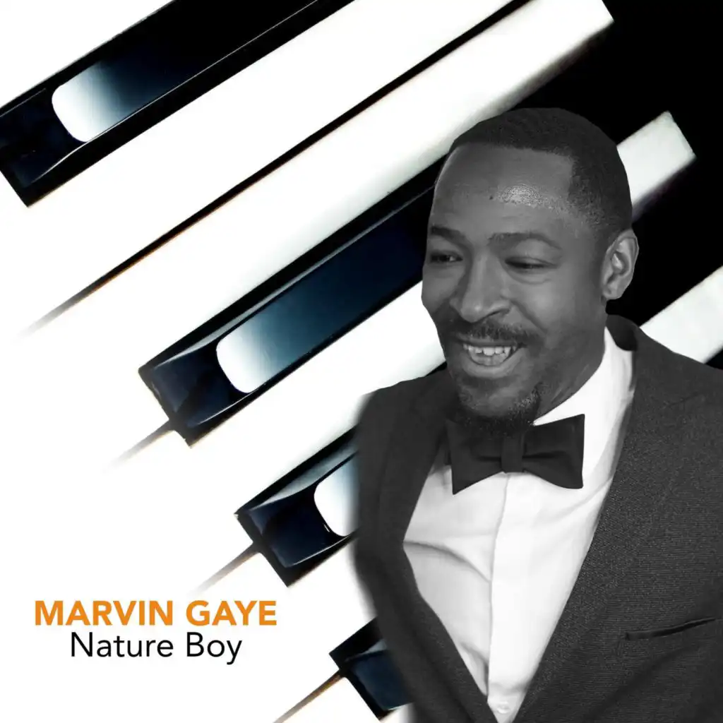 Nature boy by marvin gaye play on anghami