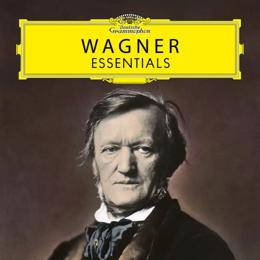 Wagner: Tannhäuser - Paris version: Dich, teure Halle, grüß ich wieder