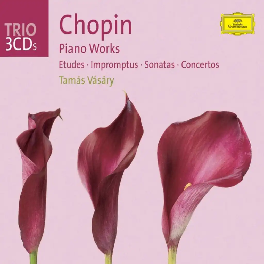 Chopin: 12 Etudes, Op. 10 - No. 5 In G Flat "Black Keys"