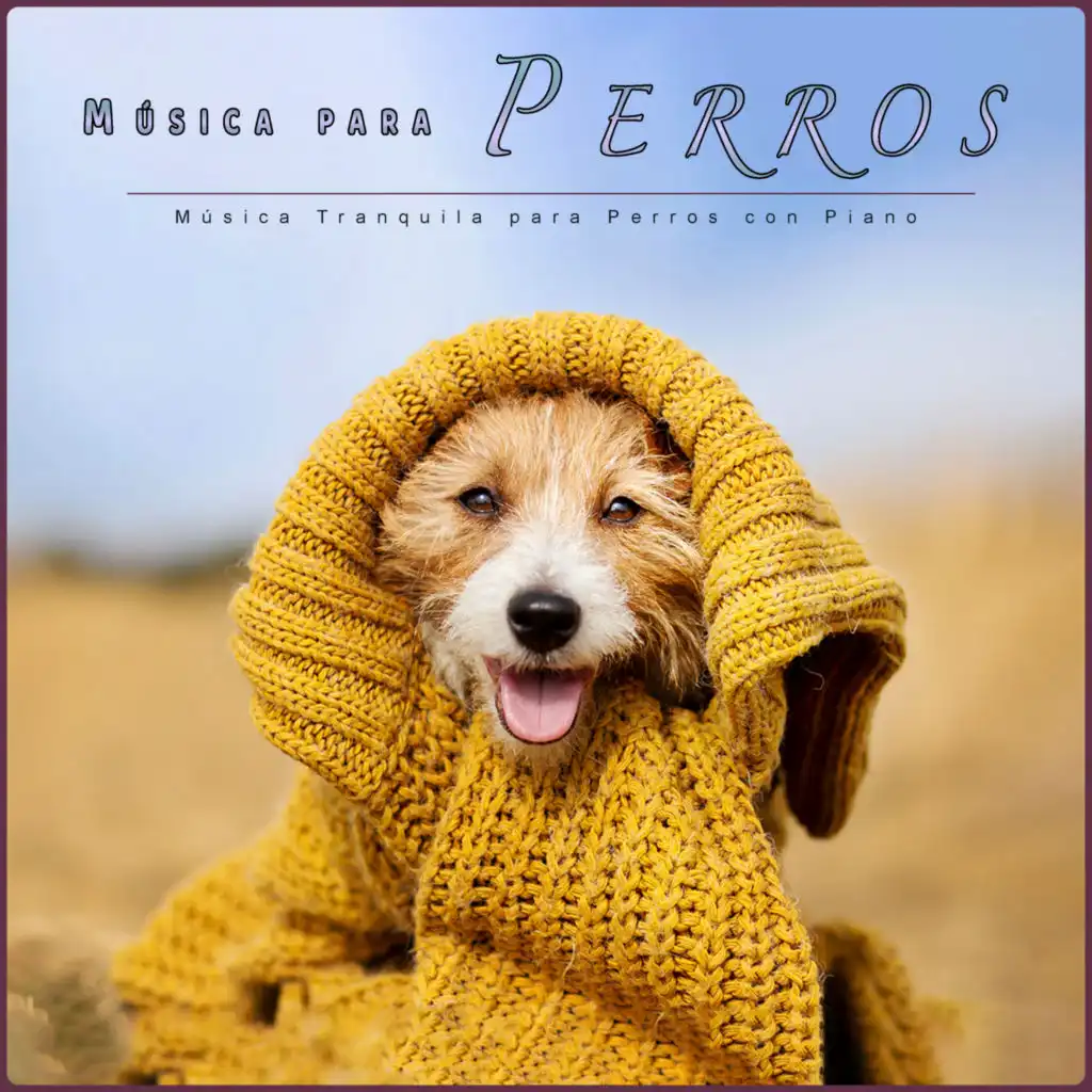 Música para la ansiedad de los perros