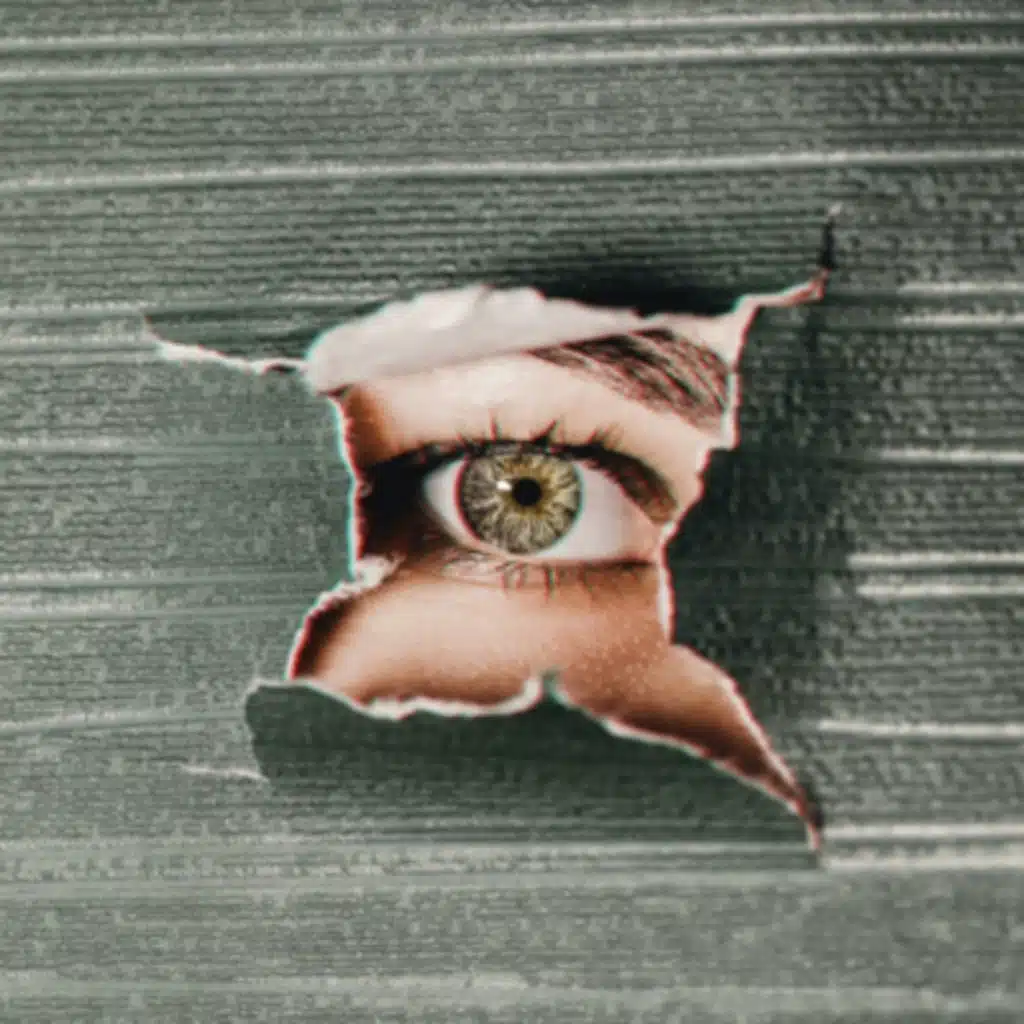 Maximize My Pleasure: Interview with Jane Gallop 