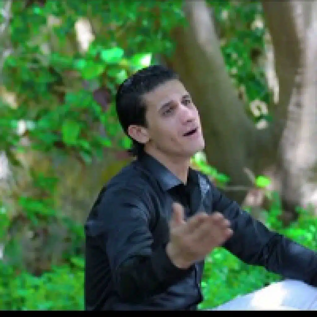 الدنيا غابه