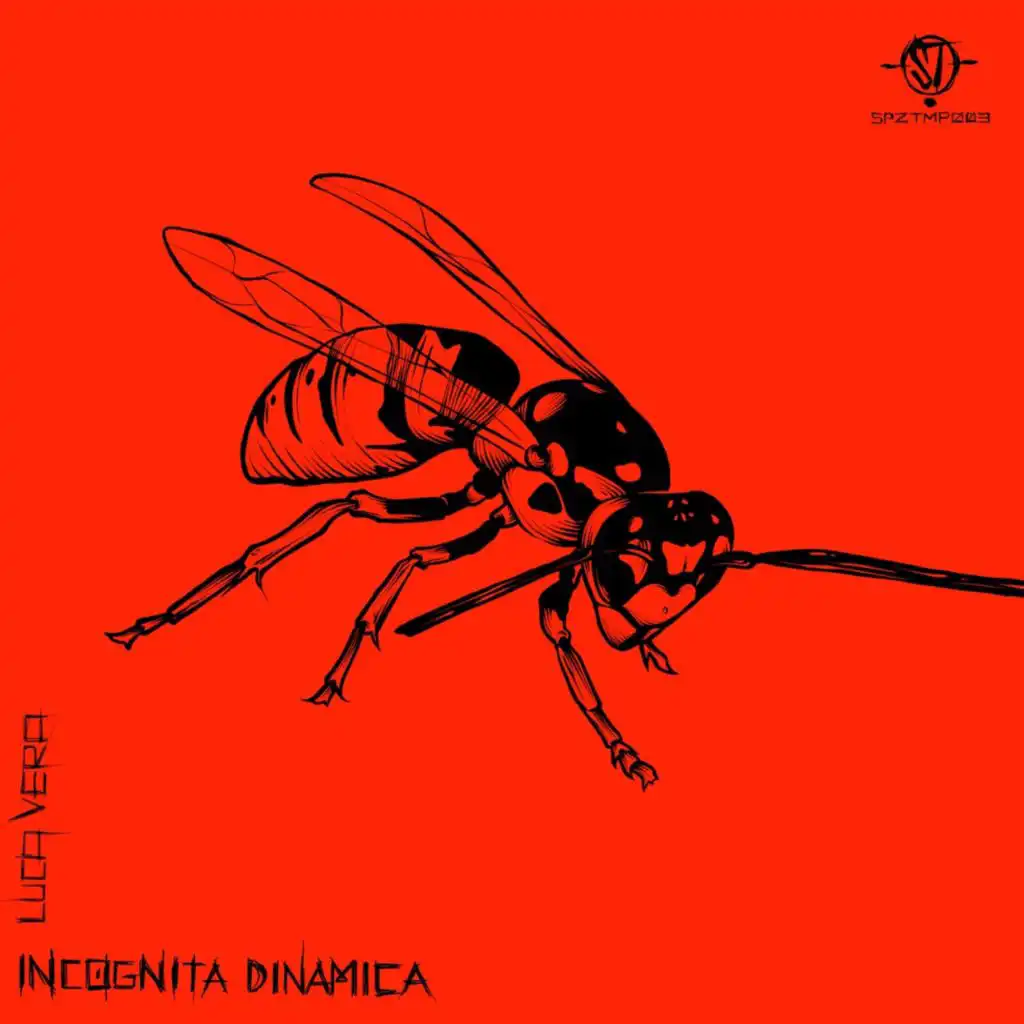 Incognita Dinamica