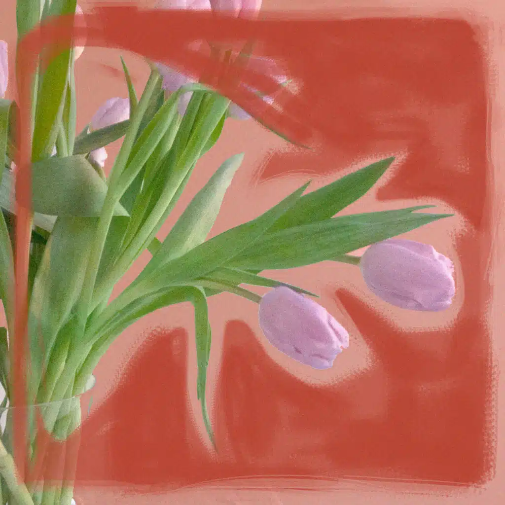 My Frail Body (feat. Bendik HK)