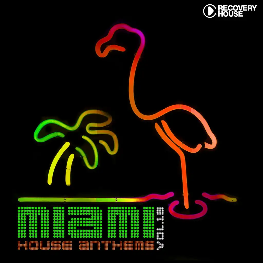 Miami House Anthems, Vol. 15