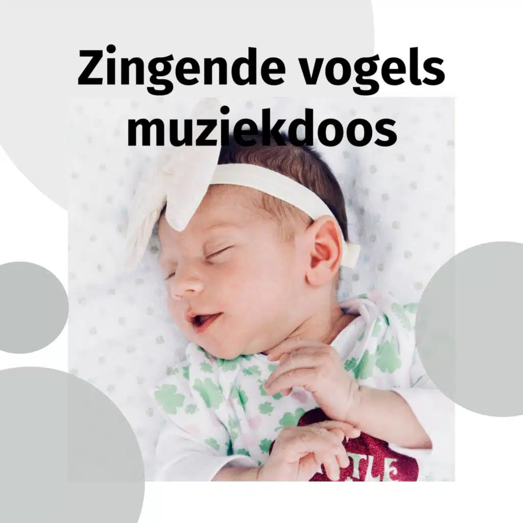 Zingende vogels muziekdoos (Soft wind)