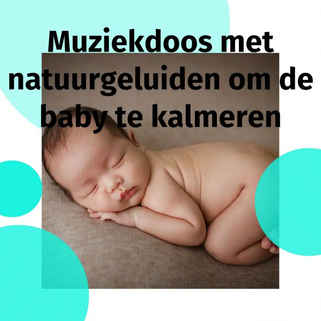 Sterren in de lucht - Stabiele aard