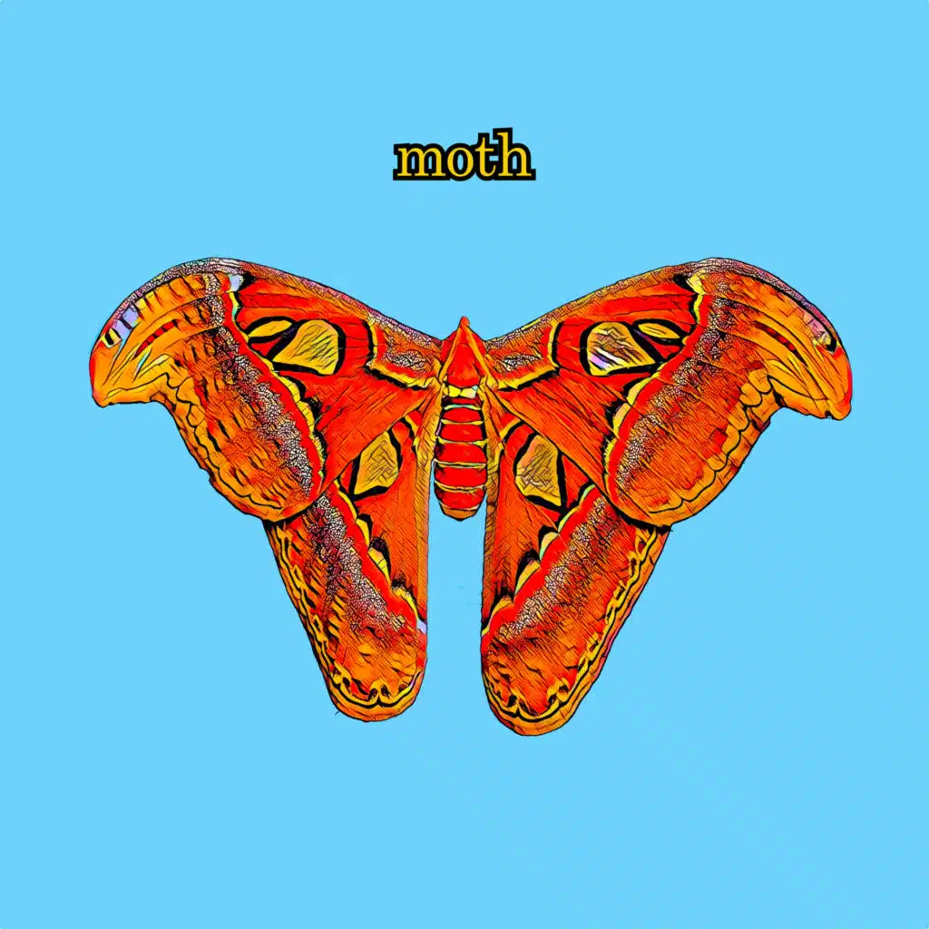 Moth
