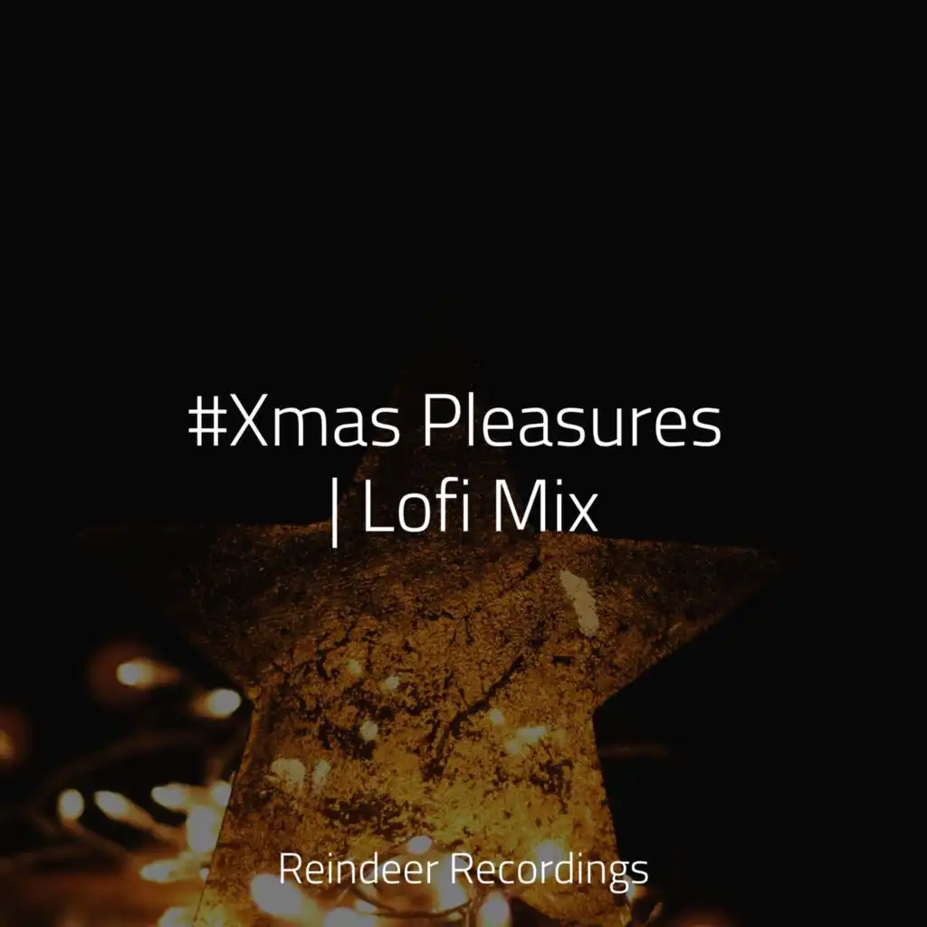 #Xmas Pleasures | Lofi Mix
