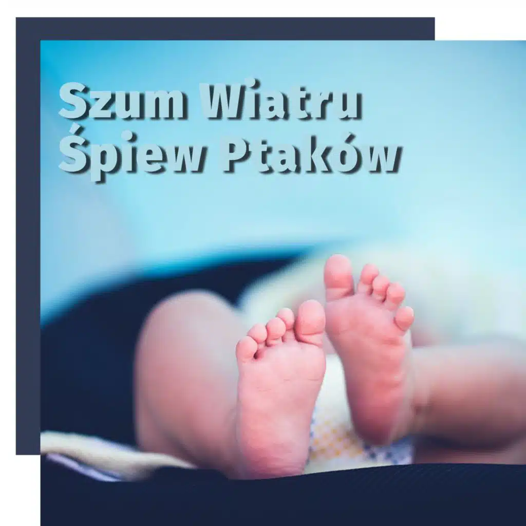Szum Wiatru, Śpiew Ptaków