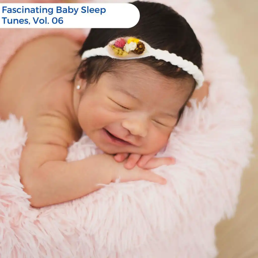 Fascinating Baby Sleep Tunes, Vol. 06