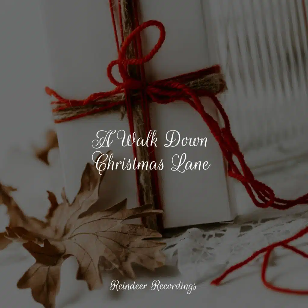 A Walk Down Christmas Lane