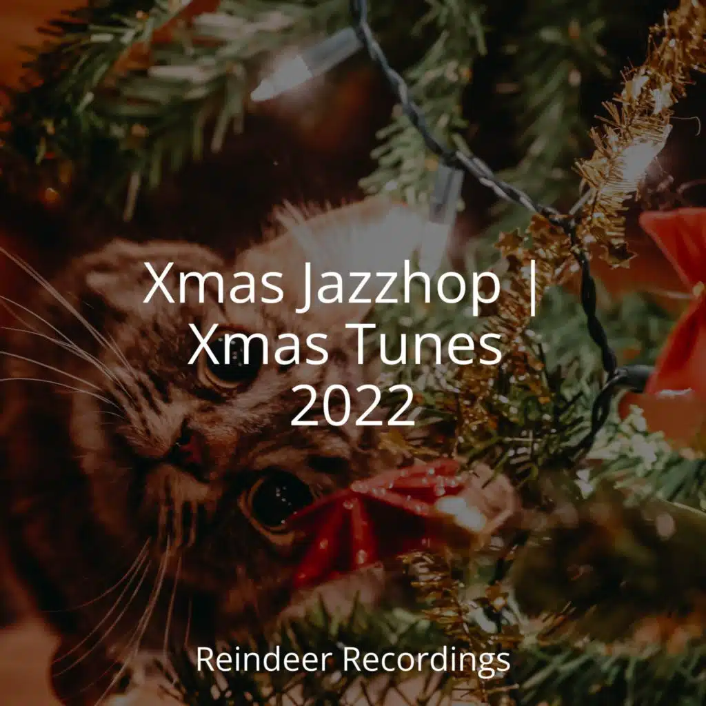Xmas Jazzhop | Xmas Tunes 2022