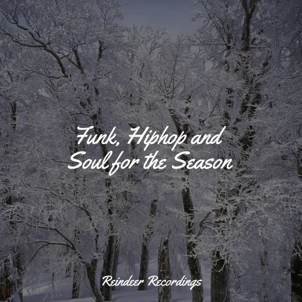 Funk, Hiphop and Soul for the Season