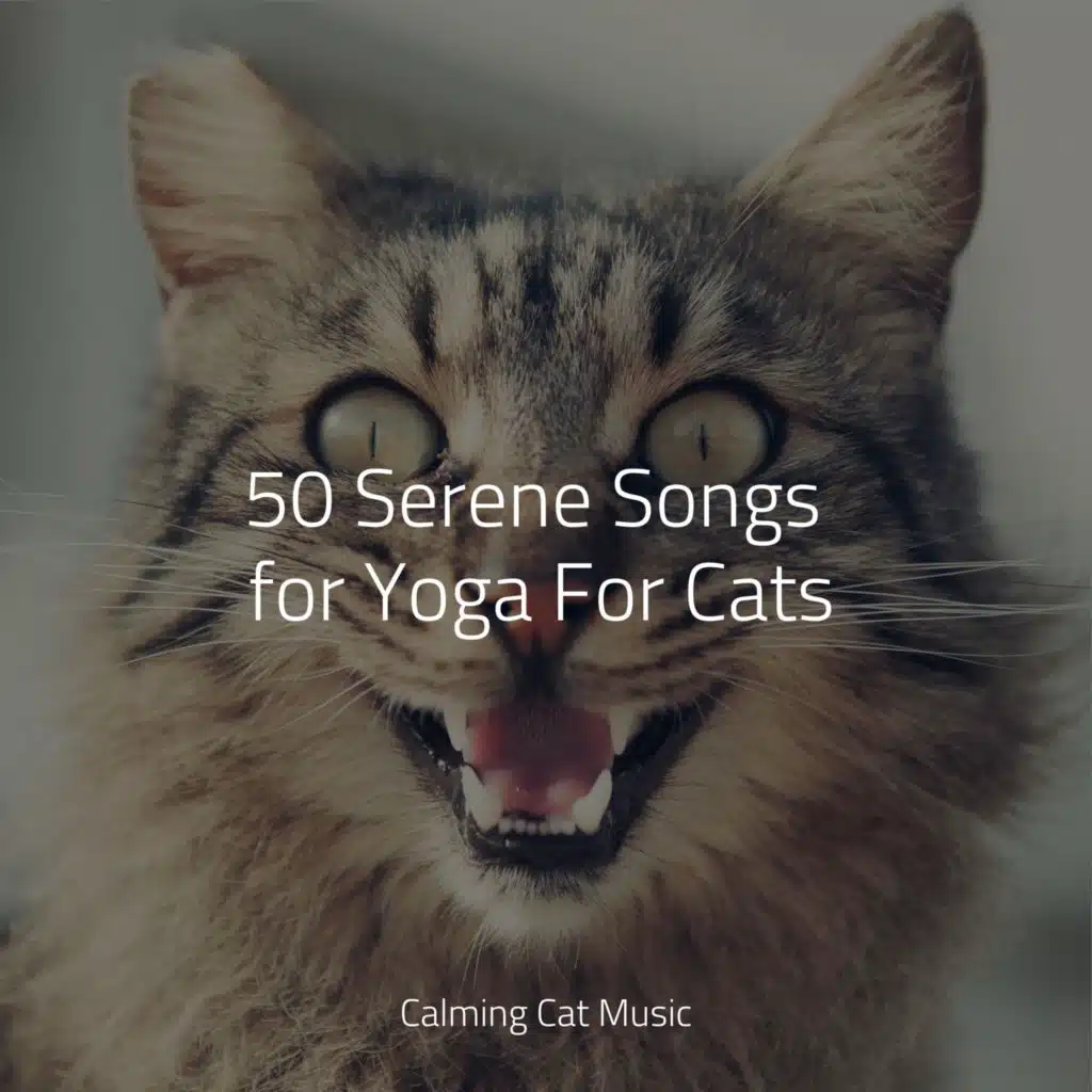 50 Serene Songs for Yoga For Cats