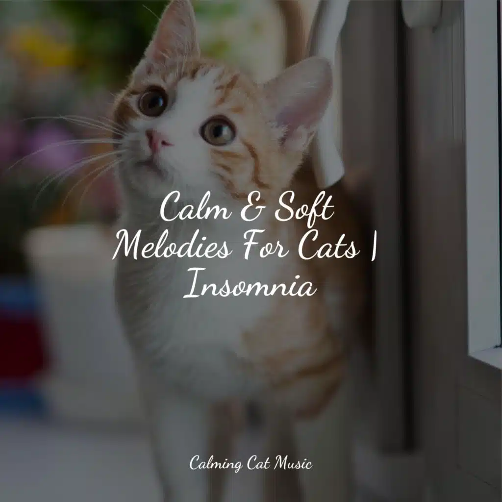 Calm & Soft Melodies For Cats | Insomnia