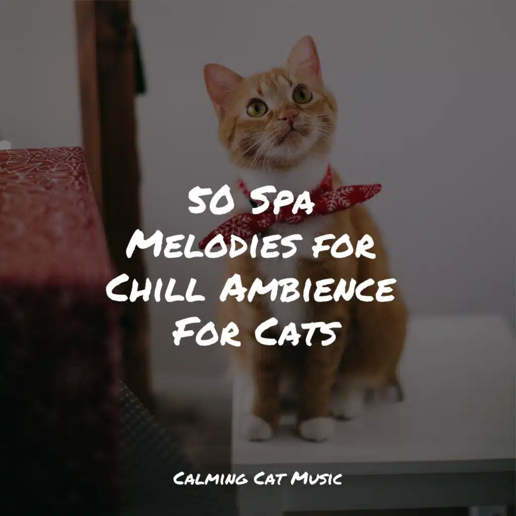 50 Spa Melodies for Chill Ambience For Cats