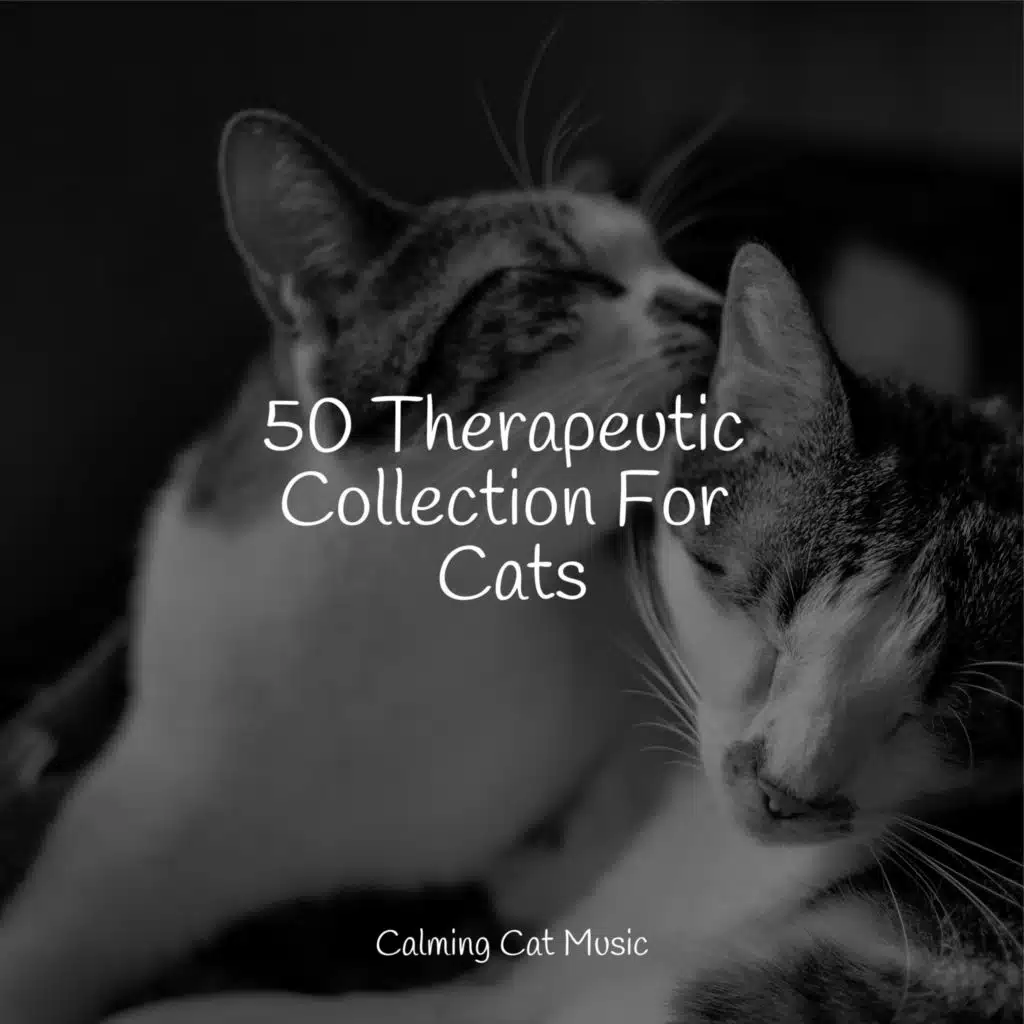 50 Therapeutic Collection For Cats