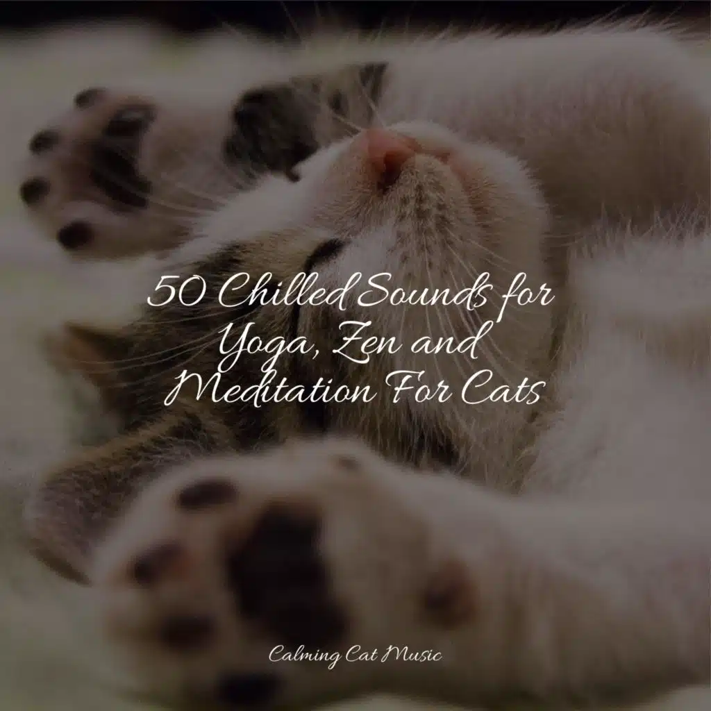50 Chilled Sounds for Yoga, Zen and Meditation For Cats
