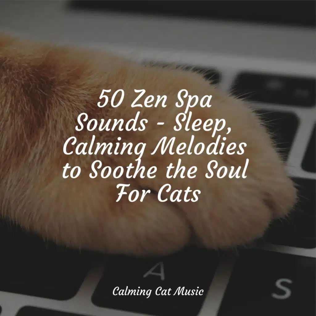 50 Zen Spa Sounds - Sleep, Calming Melodies to Soothe the Soul For Cats