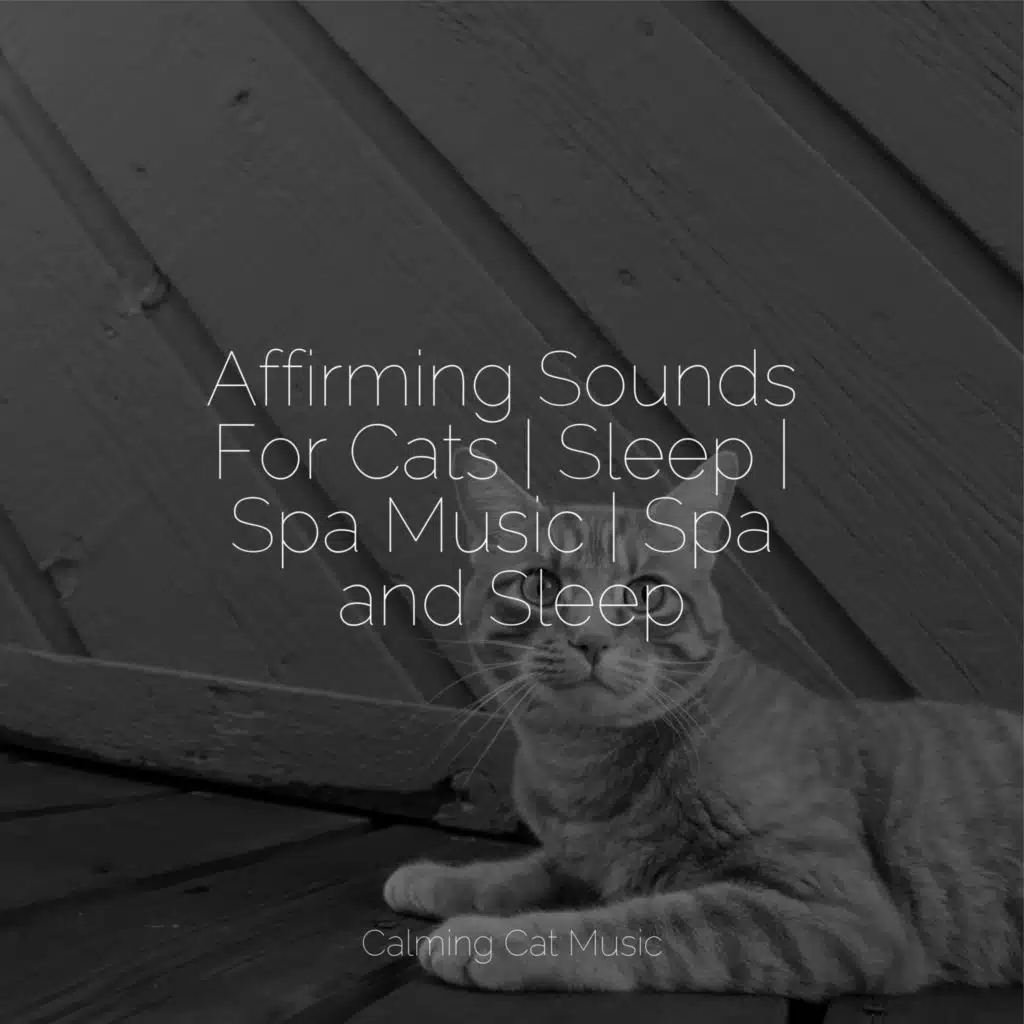 Affirming Sounds For Cats | Sleep | Spa Music | Spa and Sleep