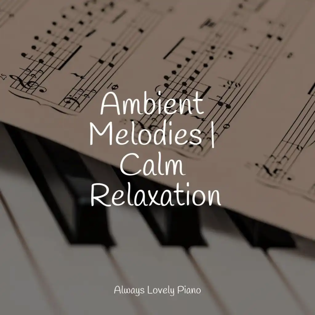 Ambient Melodies | Calm Relaxation