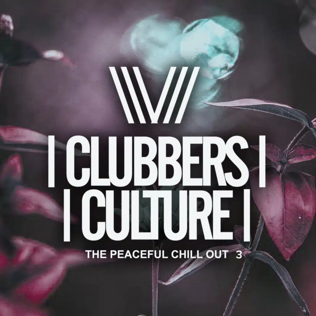 Clubbers Culture: The Peacefull Chill Out 3